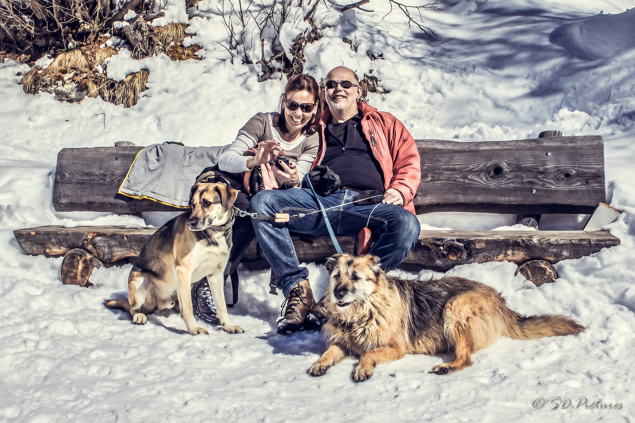 WEB  DP 2157 als Smartobjekt 1 Kopie